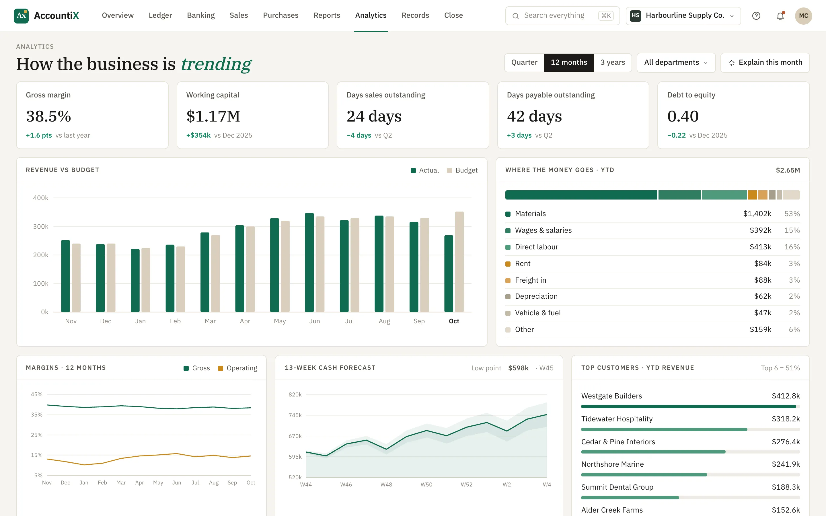 Analytics — margins, ratios, budget vs actual and a 13-week cash forecast